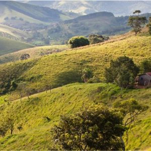 Trilha na Serra da Mantiqueira